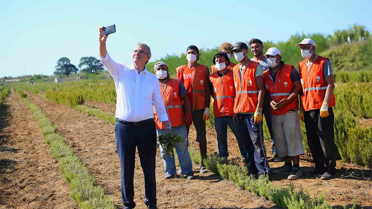 Büyükşehir üretiyor, Sakarya kazanıyor: Hasat 12 tona ulaştı