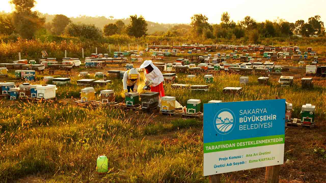 ‘Altın Karınca’ ödüllü proje rekor kırdı: 1 yılda tam 29 ton üretim