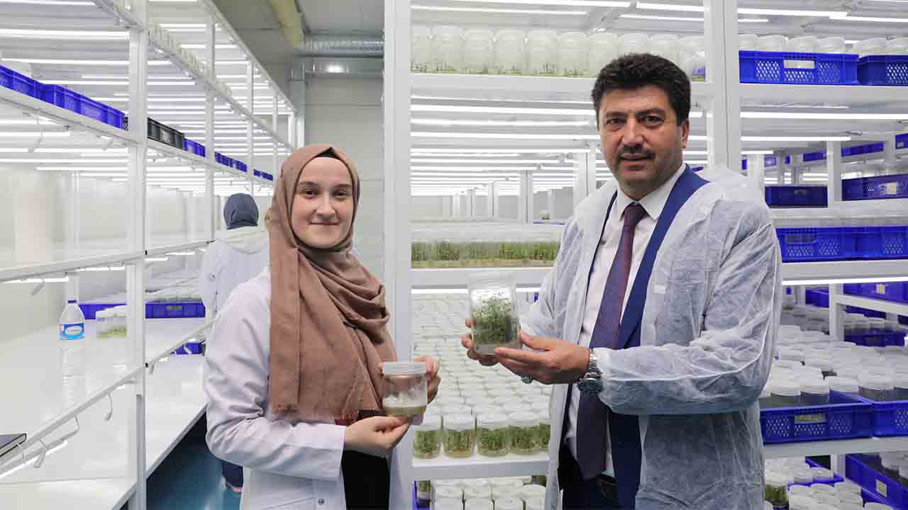 1.323 öğrenci iş deneyimi kazandı