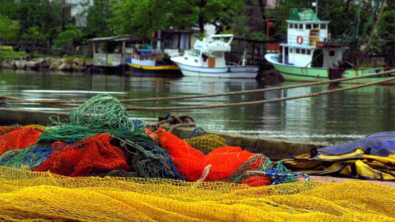Karasu Somon Balığı işleme tesisi kurulacak