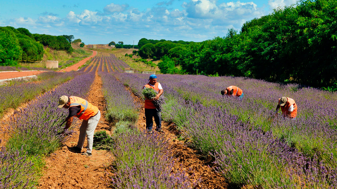 Cennet Vadisi 2022’de Türkiye’ye ve dünyaya şifa oldu