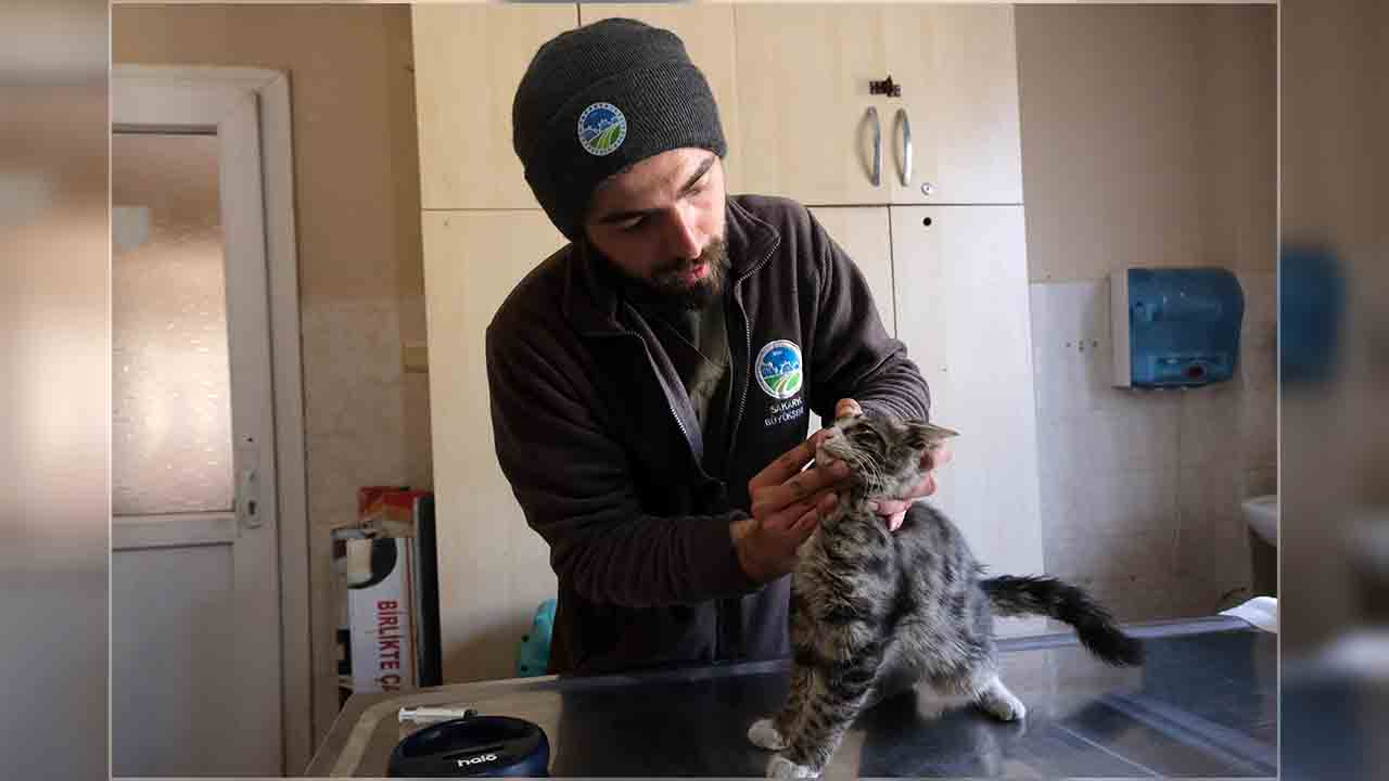 Büyükşehir veteriner ekibi Antakya’da can dostlarının yaralarını sarıyor