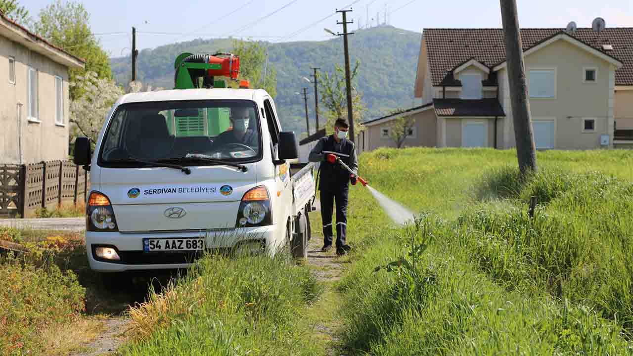 Serdivan Belediyesi’nden Çevre dostu ilaçlama